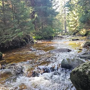 Pod świerkami Apartament